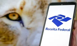 Retomada das castrações pelo município ainda não tem data definida