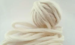 Urnas eletrônicas estão sob forte esquema de segurança