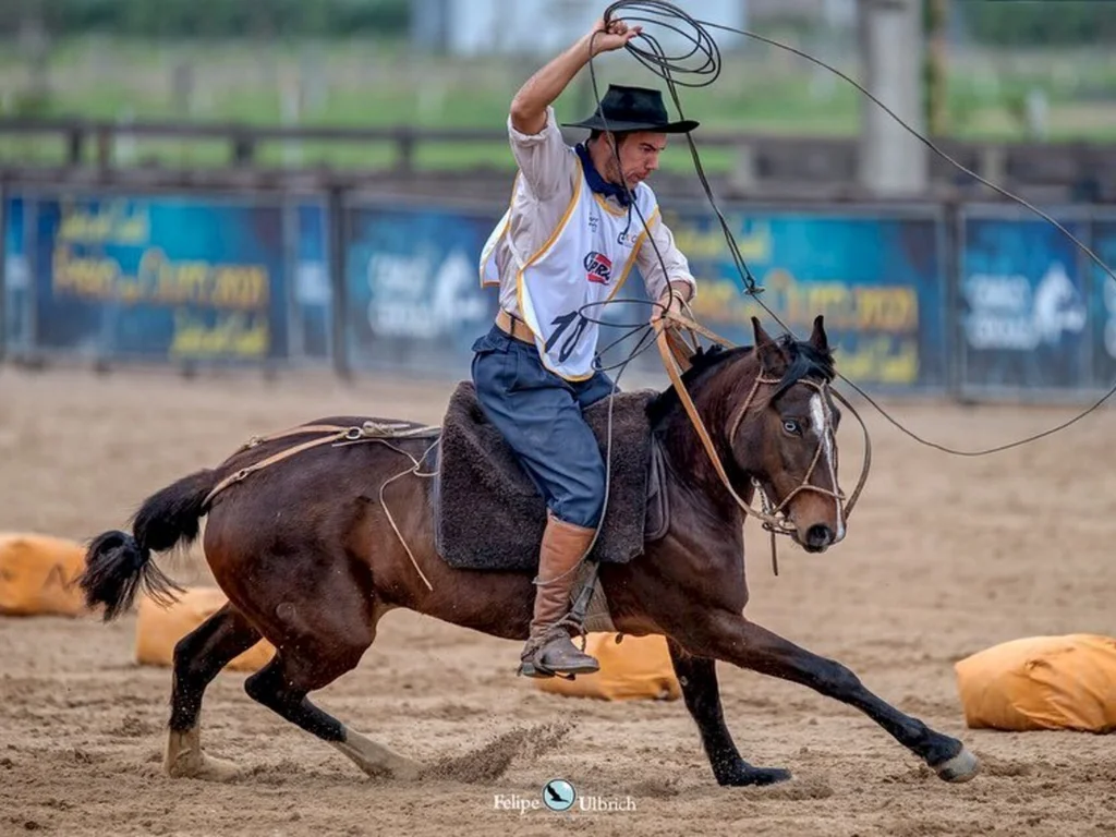 Finais do Cavalo Crioulo valorizam o trabalho dos domadores