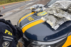 PRF apreende mais de 13 quilos de haxixe e skunk