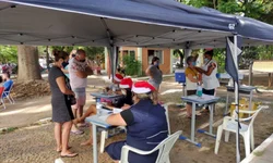 Diferenças entre federações partidárias e coligações