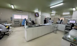 Lideranças avaliam primeiro ano do novo status sanitário