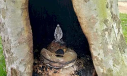 Urnas eletrônicas estão sob forte esquema de segurança