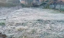 Bagé terá campanha de conscientização sobre aleitamento