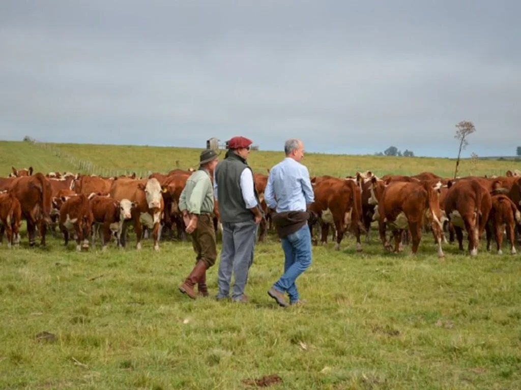 Jornada atualiza inspetores técnicos