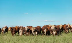 Mulheres no Planetário