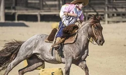 Campereada Team Penning consagra cinco trios