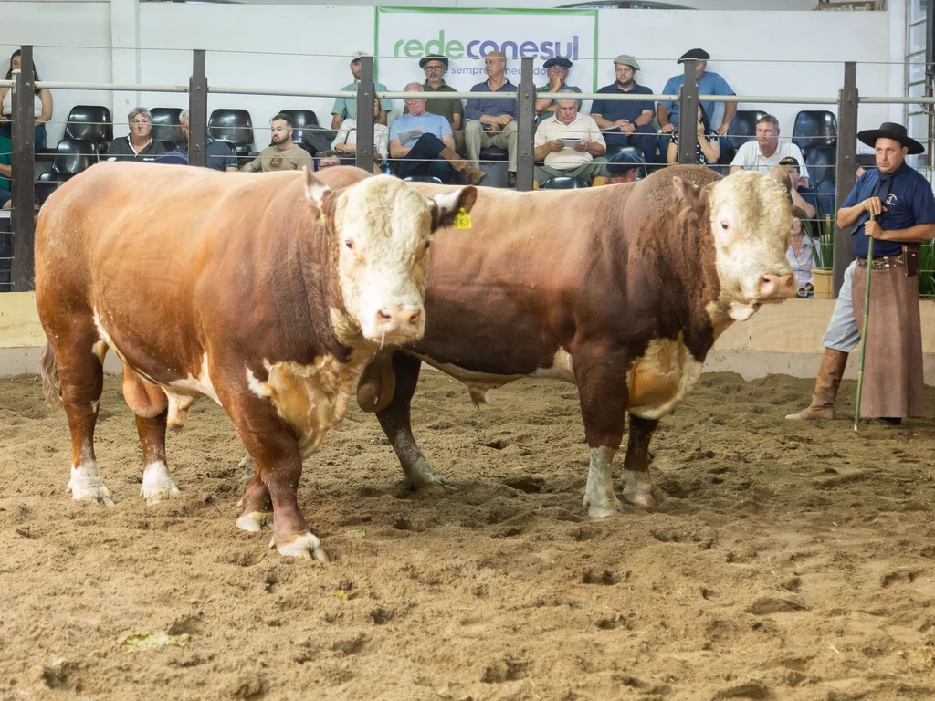 Agro, cultura e tecnologia movimentam programação da Farm Show