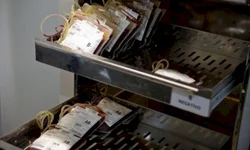 Brechó arrecada fundos para reforma da Auxiliadora