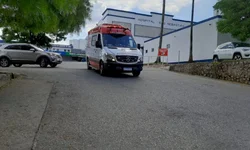 Lei que proíbe corrida de cães é promulgada