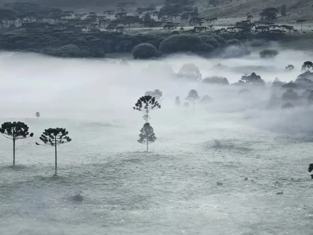 Semana será ensolarada e terá retorno das temperaturas elevadas