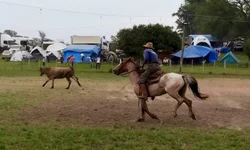 Começa mobilização para manifestação no Sete de Setembro