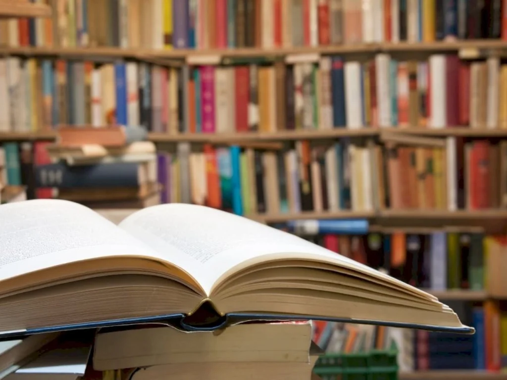 Escritores opinam sobre criação de diretoria do livro