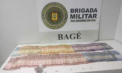 Guarda Municipal inicia atividades em sede temporária