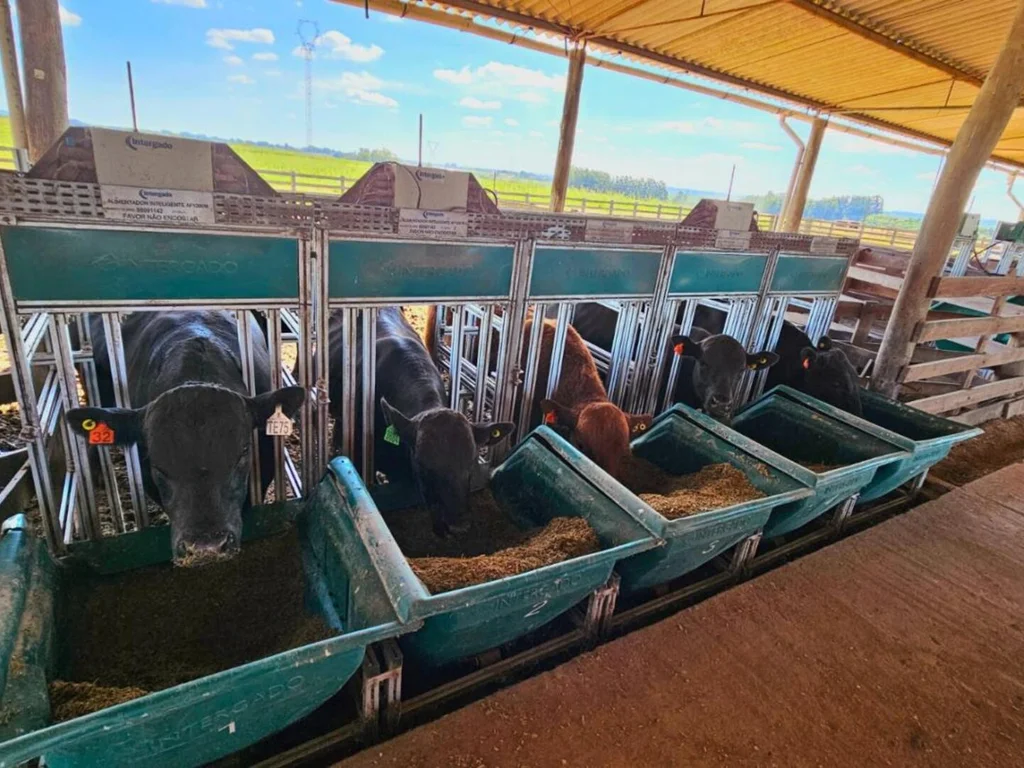 Vencedores da Prova de Eficiência Alimentar serão conhecidos no dia 27