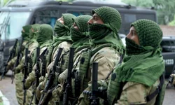 Estado lança plataforma Tudo Fácil Empresas