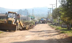 Corte de árvores em praça gera polêmica