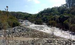 Pesquisa vai revelar realidade da violência doméstica