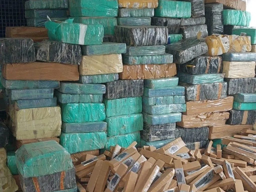 Brigada Militar faz apreensão histórica de drogas no primeiro semestre