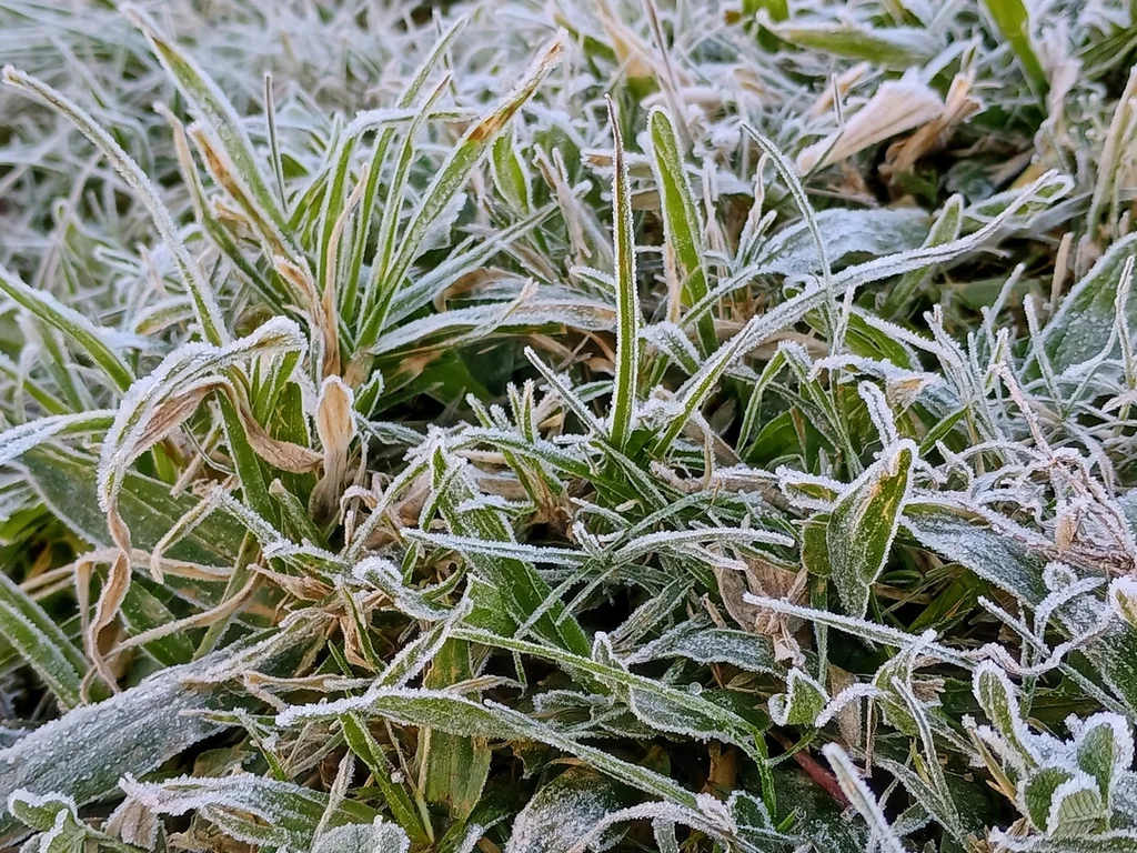 Estado chega ao 28º dia do ano abaixo de zero