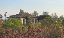 DTG do Peão Rural promove noite de homenagens a destaques do campo