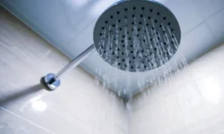 Equipe da Frei Plácido faz vaquinha on-line