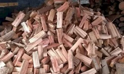 Operação Corpus Christi vai até domingo