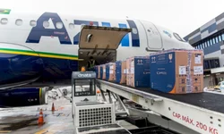 Feamor oferece produtos para gostos bem ecléticos