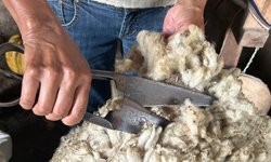 Bagé recebe curso gratuito da Rota da Lã