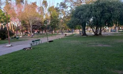 Um ano após o julgamento, qual a situação do processo?