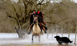 Manifestação pelo veto popular vai para parecer jurídico