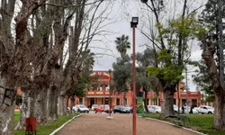 Vereadora Beatriz irá disputar uma vaga na Câmara Federal