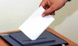 Investigação resulta em apreensão de quase 13 mil bovinos