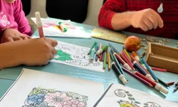 Hospitais da Metade Sul unem forças para enfrentar colapso