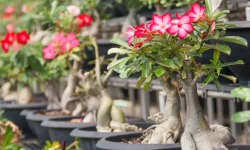 Destinos incríveis para curtir na Páscoa