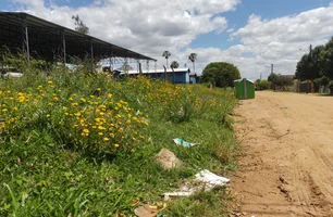 Bagé terá mutirão intensivo de limpeza urbana por 15 dias