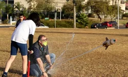 AEB abre inscrições para cursos on-line sobre ciência e tecnologia espacial