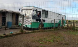 Violência doméstica já é um dos principais riscos à saúde de mulheres