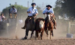 Filhos de ginete bageense brilham no pódio do Cavalo Crioulo