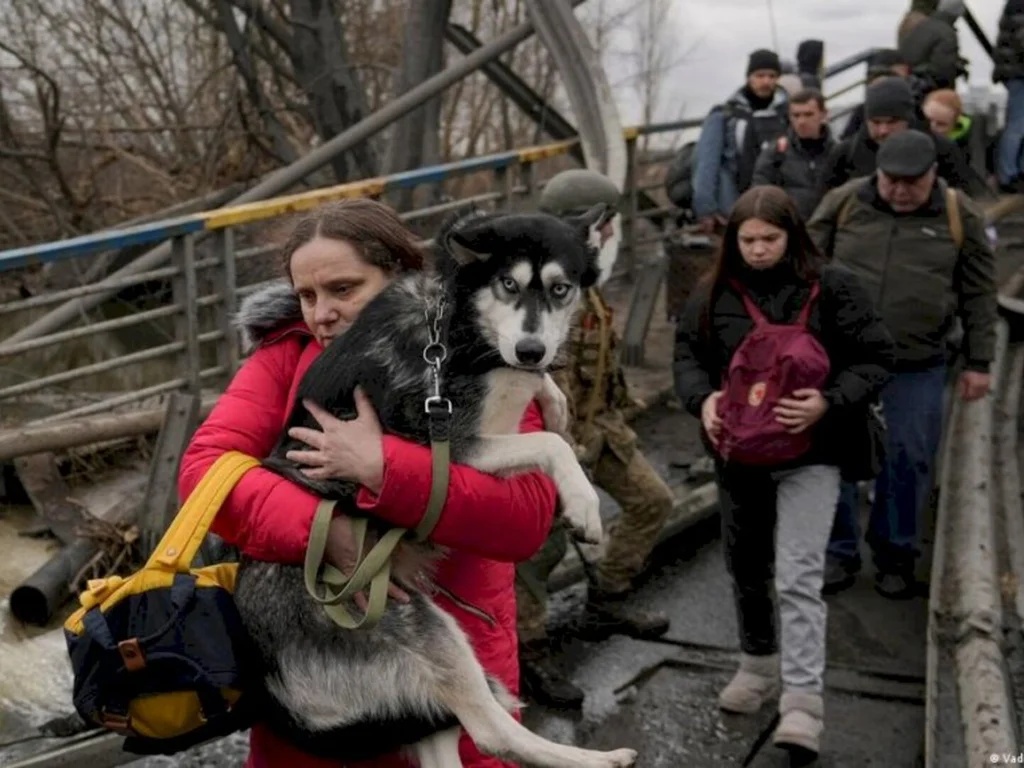 Amor pelos animais: uma lição para o mundo