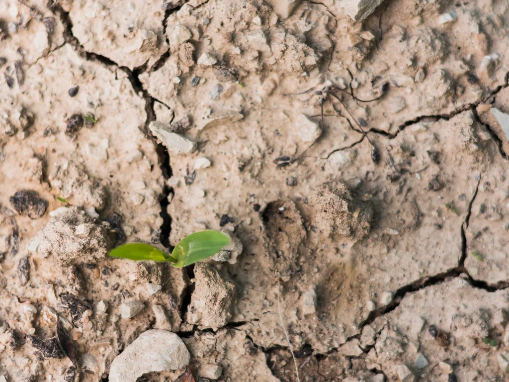 Quarenta cidades já decretaram situação de emergência
