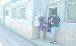 Azeite de oliva gaúcho recebe reconhecimento