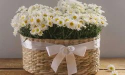 Bageenses lançam single “Lidando no Rodeio”