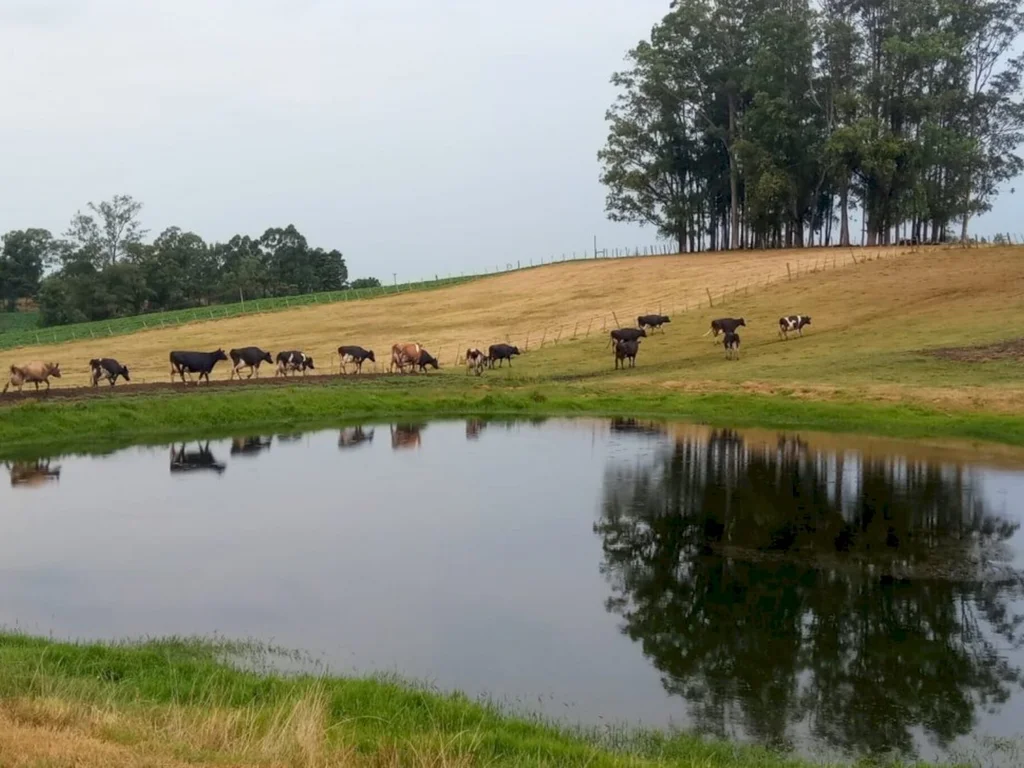 Agricultura e pecuária familiar pedem socorro
