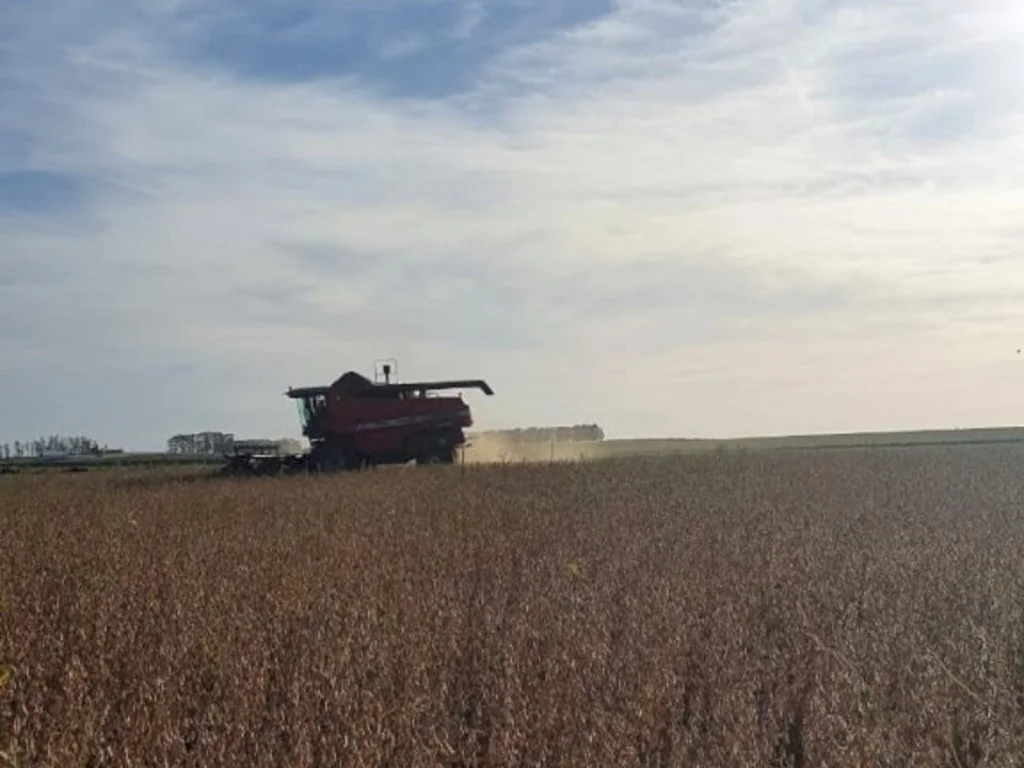 Produtores da região estão otimistas para safra