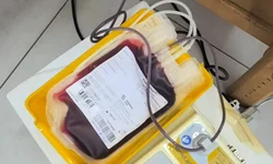 Banca reconhece falha e Universidade acompanha apuração