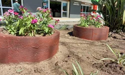 Bíblia está entre os livros mais procurados para presentear