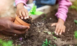 Região tem queda de temperatura
