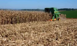Agricultores familiares podem consultar produtos