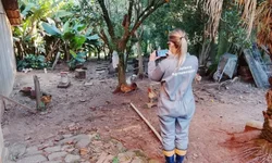 Conselho Rural discute controle de carrapato e incentivos para produtores